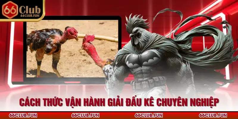 Cách thức vận hành giải đấu kê chuyên nghiệp