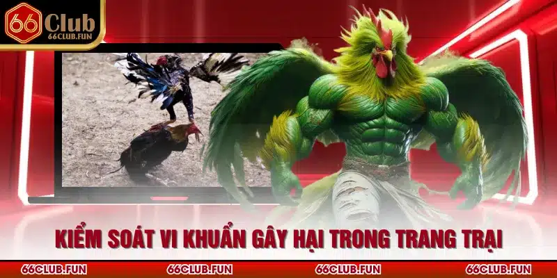 Kiểm soát vi khuẩn gây hại trong trang trại