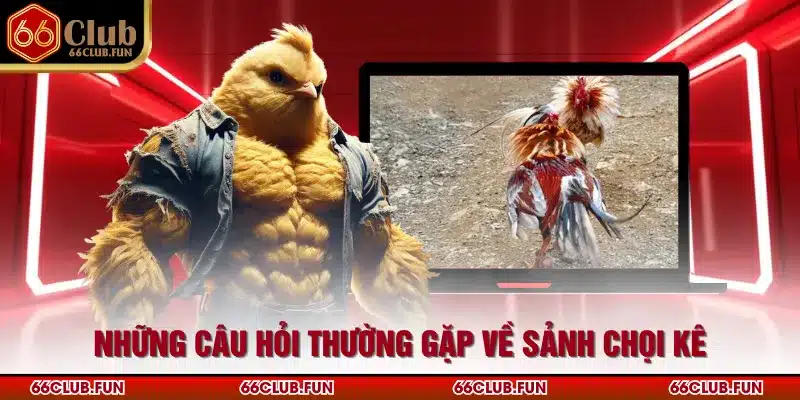 Những câu hỏi thường gặp về sảnh chọi kê